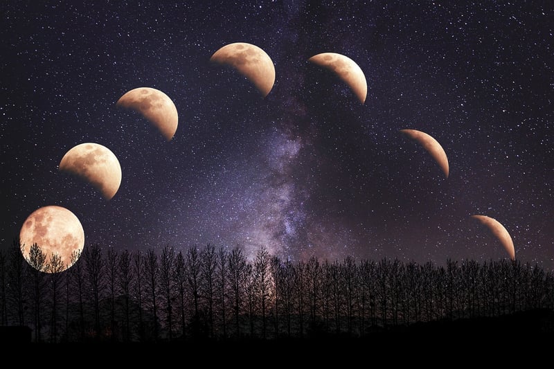 Eclipse Elopements